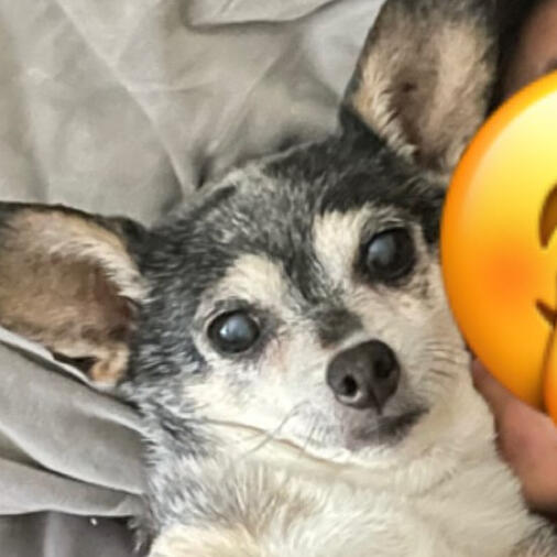 Graphic Design for Family Friend!